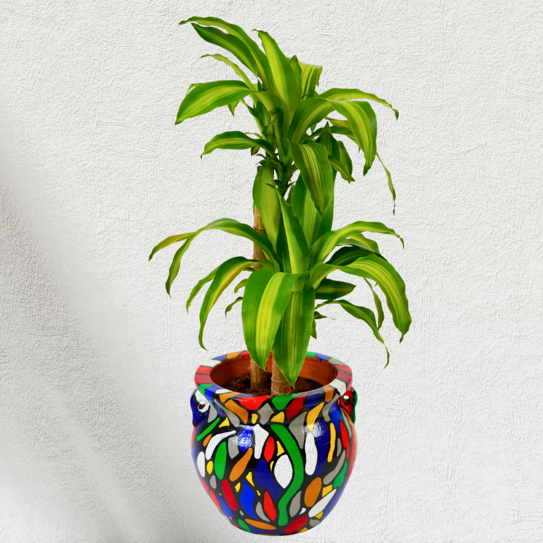 Custom Planter Set